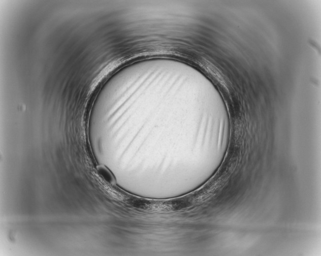 X0000096730789200802261452