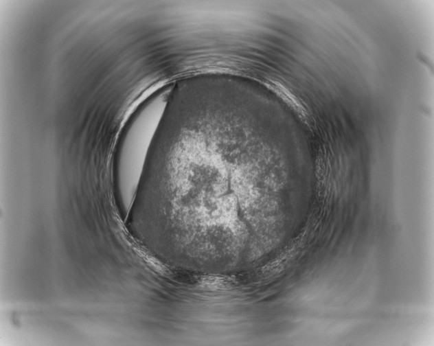 X0000096730790200802261452