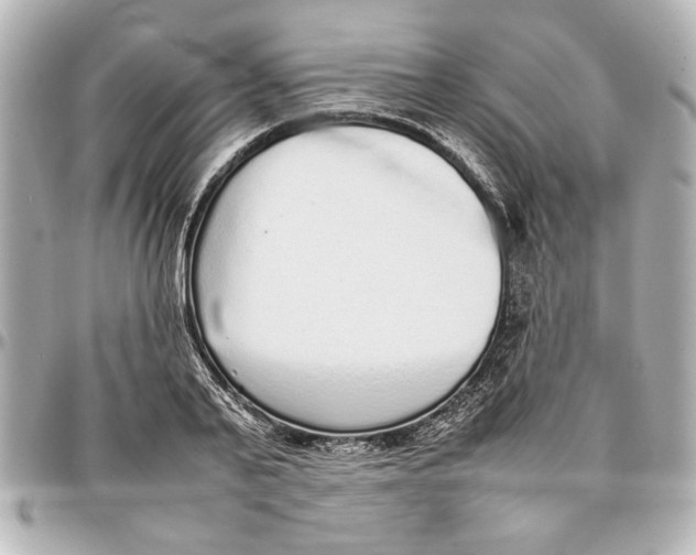 X0000096730791200802261452