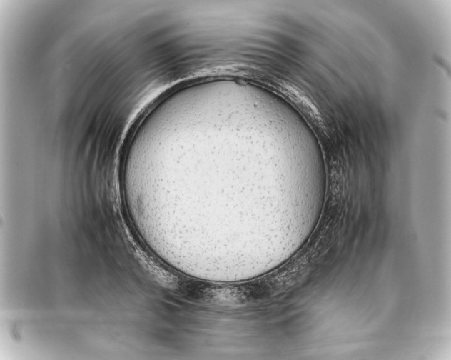 X0000096730792200802261452