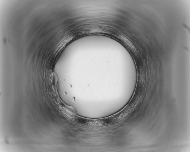 X0000096730793200802261452