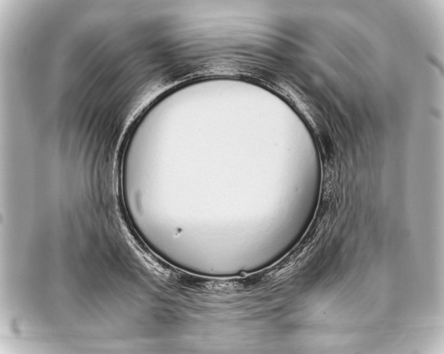 X0000096730795200802261452