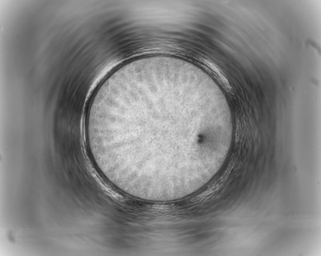 X0000096730796200802261452