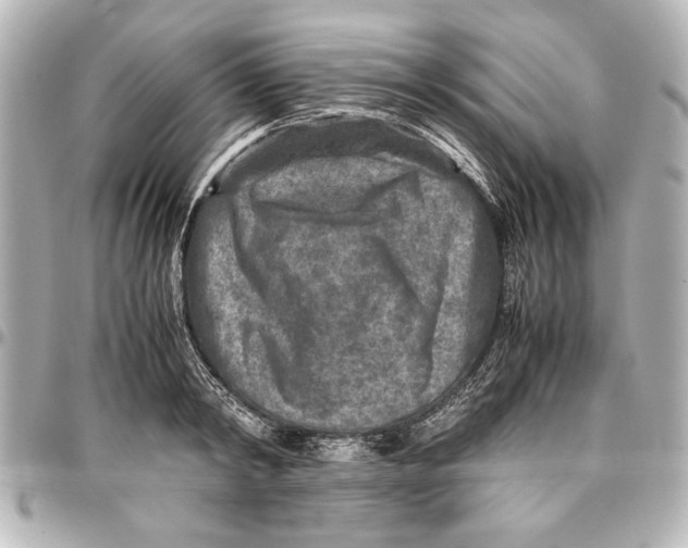 X0000096730798200802261452