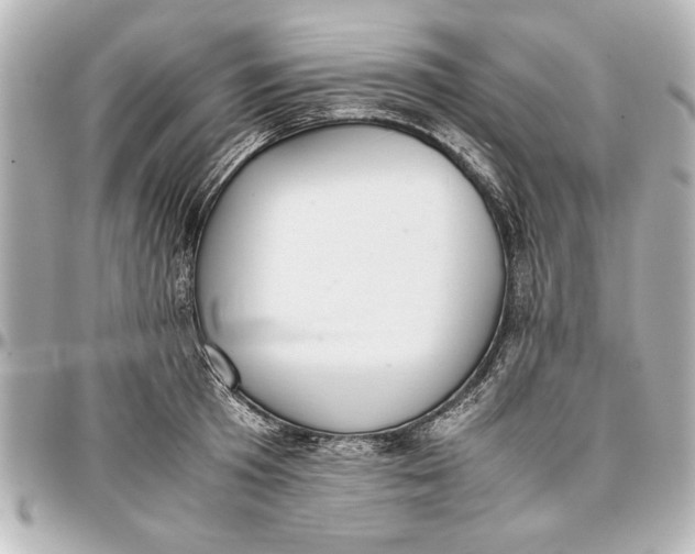 X0000096730801200802261452