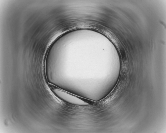 X0000096730803200802261452