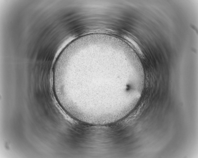 X0000096730804200802261452