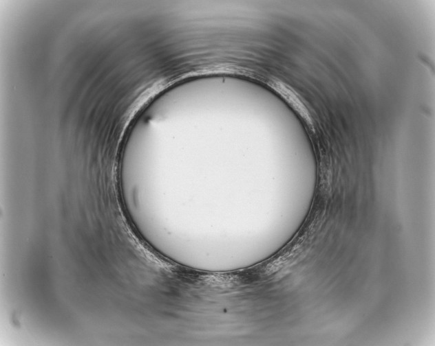 X0000096730805200802261452