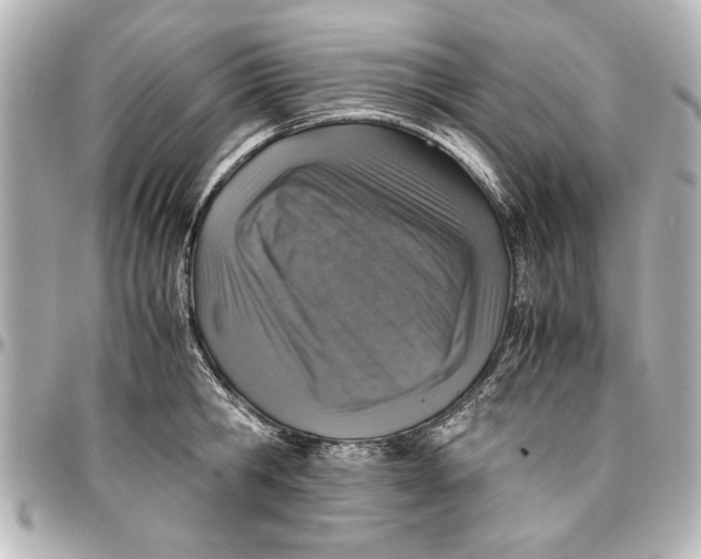 X0000096730806200802261452