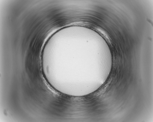 X0000096730808200802261451