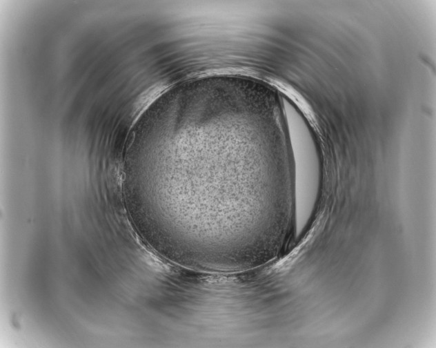 X0000096730809200802261451