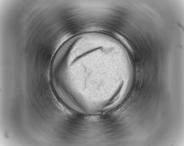 X0000096730810200802261451