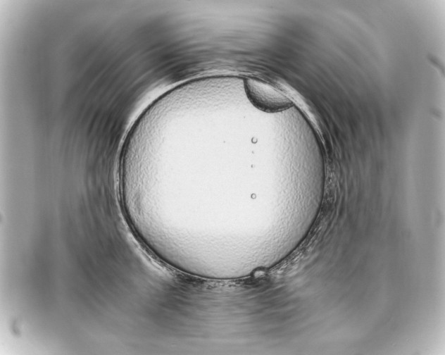 X0000096730811200802261451