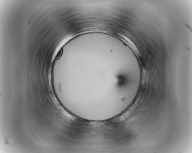 X0000096730812200802261451