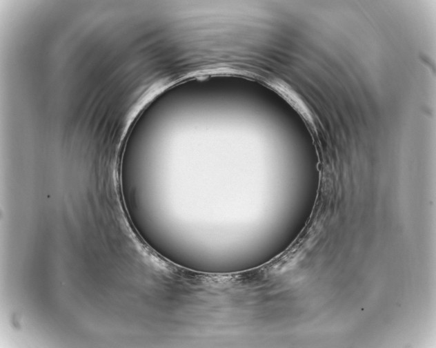 X0000096730813200802261451