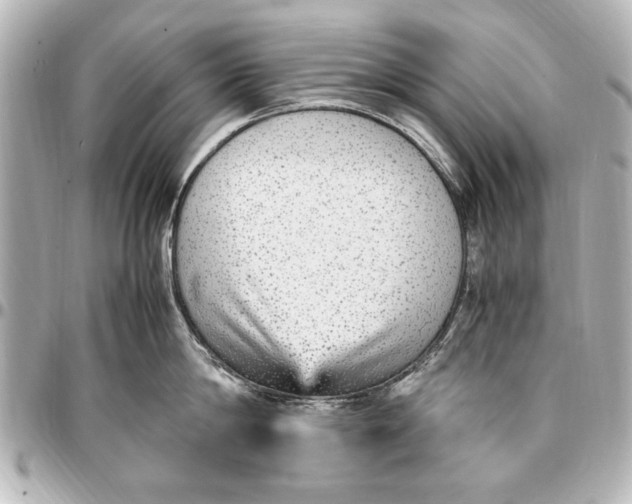 X0000096730814200802261451