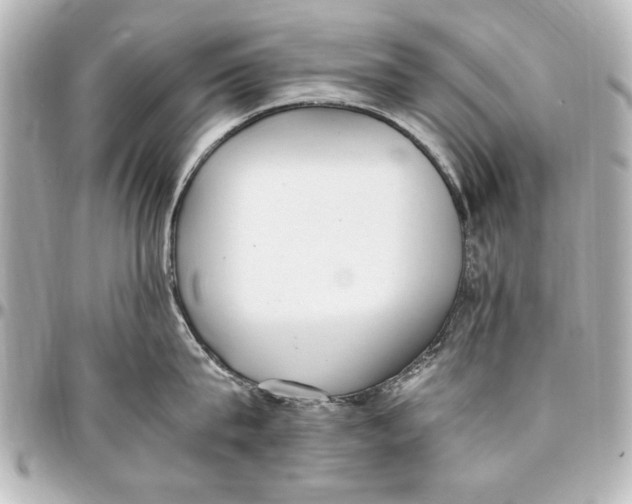 X0000096730815200802261451