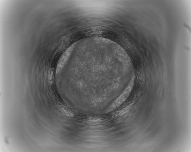 X0000096730818200802261451