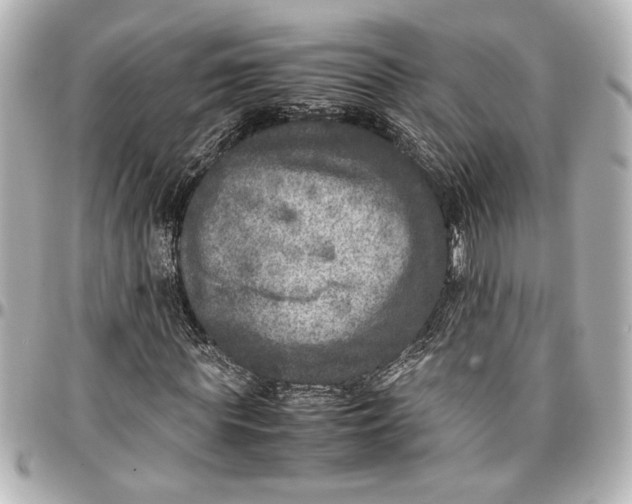 X0000096730819200802261451