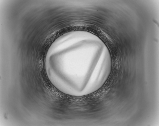 X0000096730821200802261451