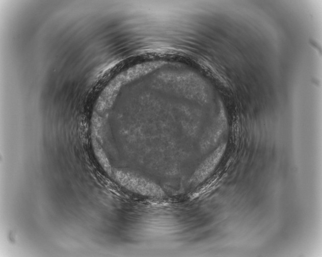 X0000096730822200802261451