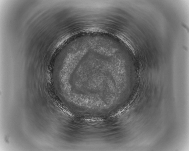 X0000096730823200802261451