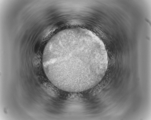 X0000096730824200802261451