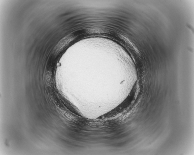 X0000096730825200802261451