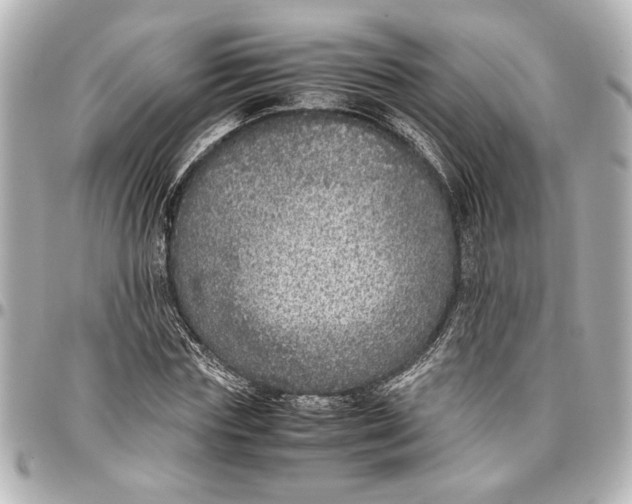 X0000096730827200802261451