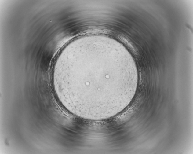 X0000096730828200802261451