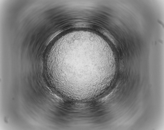 X0000096730829200802261451