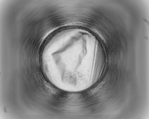 X0000096730830200802261451