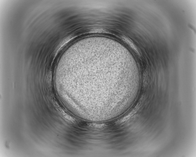 X0000096730831200802261451