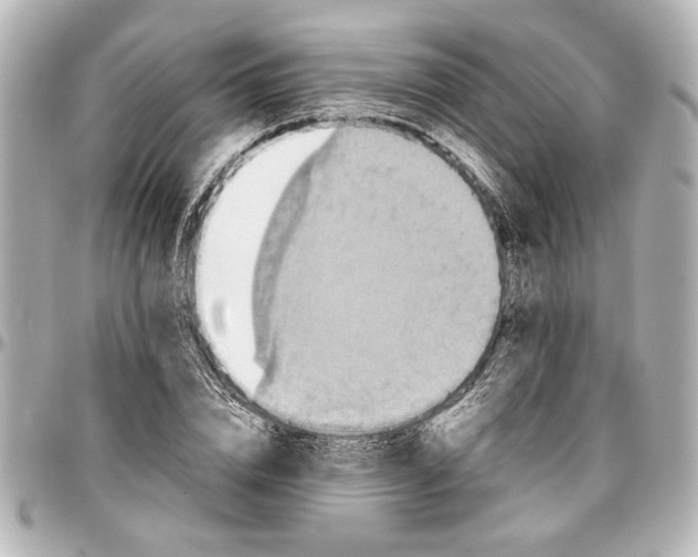 X0000096730832200802261451