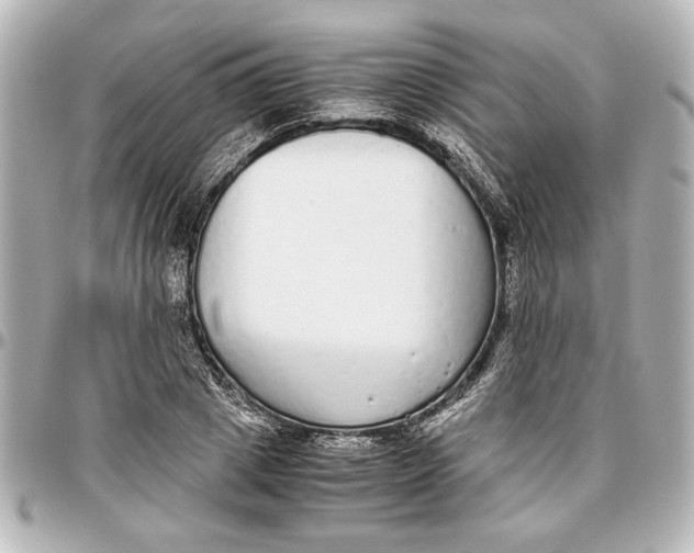 X0000096730833200802261451