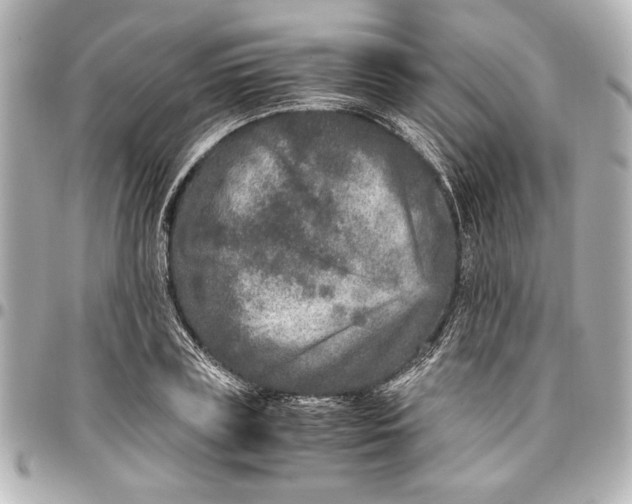 X0000096730835200802261451