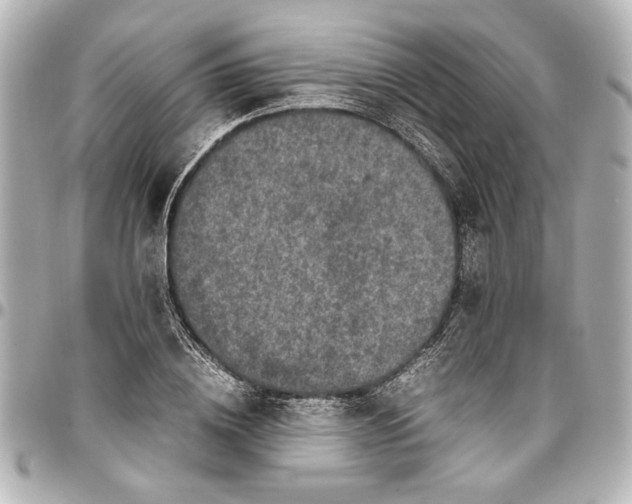 X0000096730836200802261451