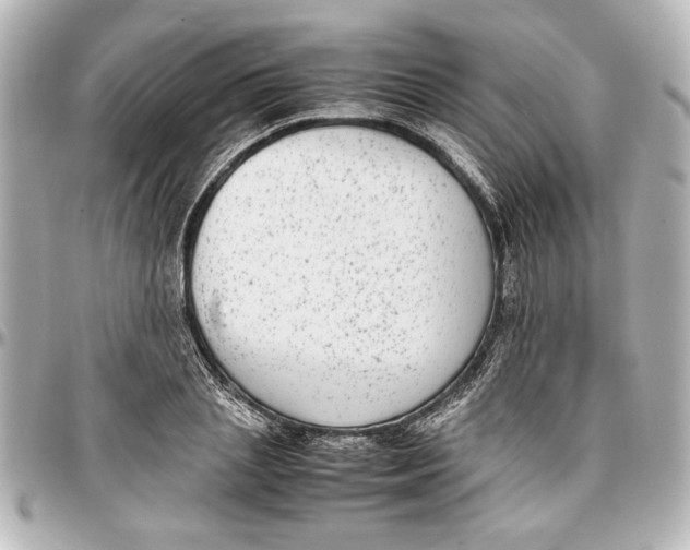 X0000096730837200802261451