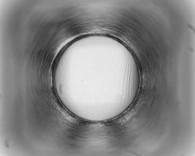 X0000096730838200802261451