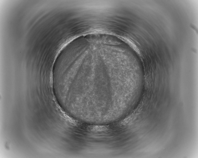 X0000096730839200802261451