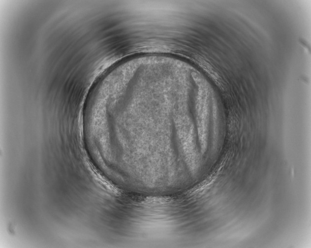 X0000096730840200802261451