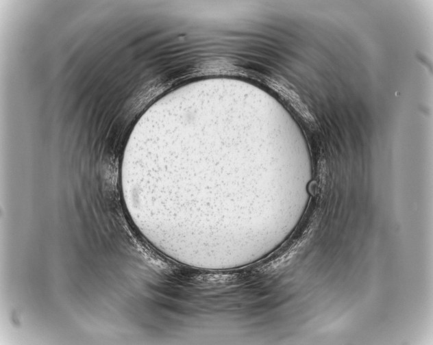 X0000096730841200802261451