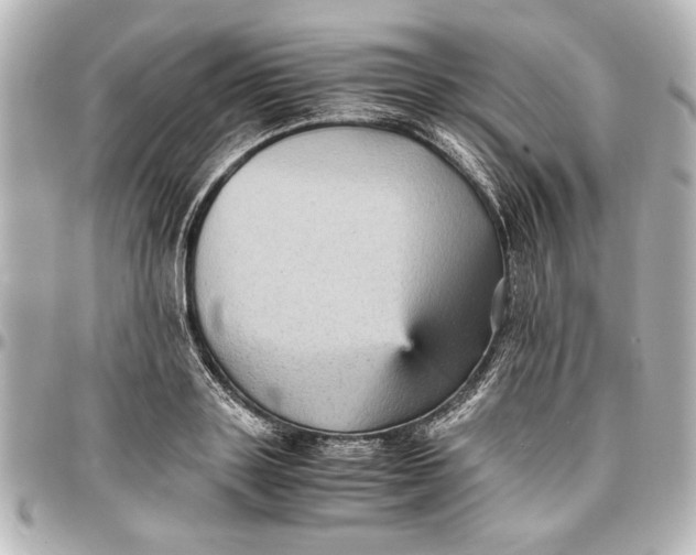 X0000096730843200802261451