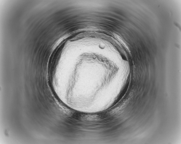 X0000096730845200802261451