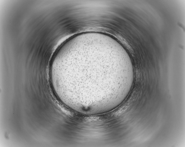 X0000096730846200802261451