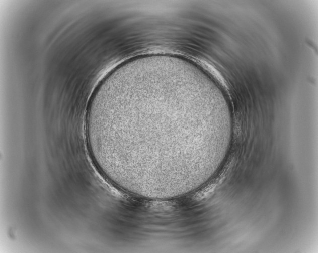 X0000096730847200802261451