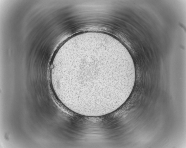 X0000096730848200802261451