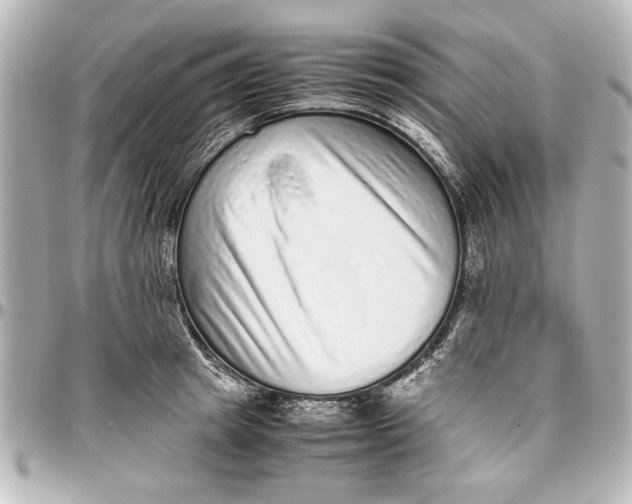 X0000096730849200802261451