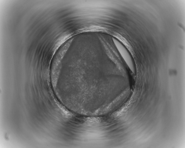 X0000096730850200802261451