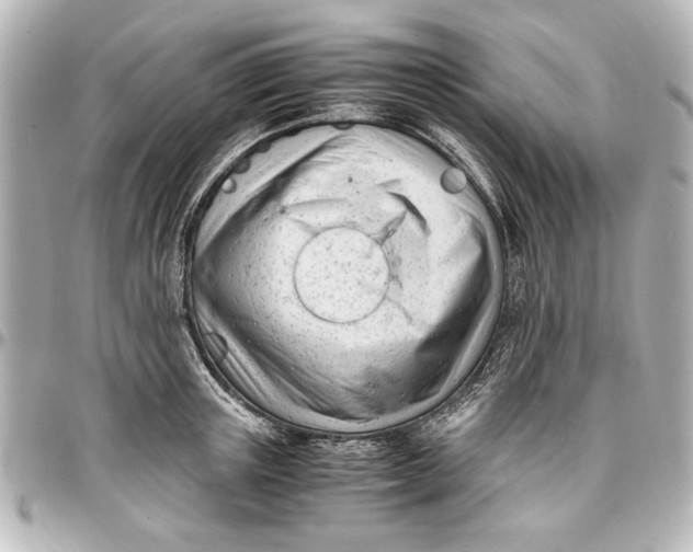 X0000096730851200802261451